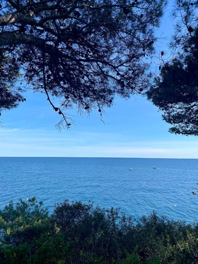 Holiday Home Bukovac 普拉 外观 照片